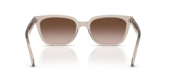 Ray-Ban 0RB 2243D 6827/13 55 Kadın Güneş Gözlüğü