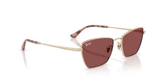 Ray-Ban 0RB 3783 9213/75 53 Kadın Güneş Gözlüğü