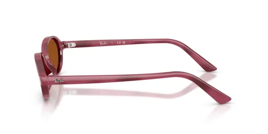 Ray-Ban 0RB 4472 685773 51 Unisex Güneş Gözlüğü