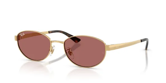 Ray-Ban 0RB 3774D 001/69 55 Kadın Güneş Gözlüğü