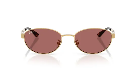 Ray-Ban 0RB 3774D 001/69 55 Kadın Güneş Gözlüğü