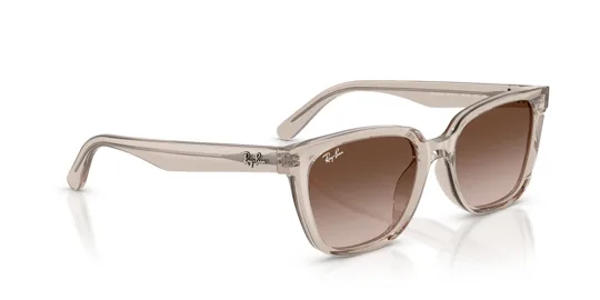 Ray-Ban 0RB 2243D 6827/13 55 Kadın Güneş Gözlüğü