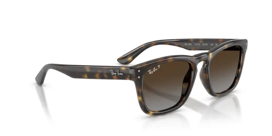 Ray-Ban 0RB 2238 710/T5 52 Unisex Güneş Gözlüğü
