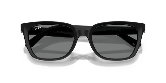 Ray-Ban 0RB 2243D 901/87 55 Kadın Güneş Gözlüğü